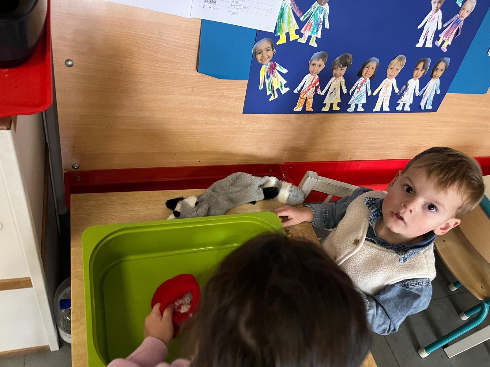 whatsapp image 2026-01-26 at 17.25.12 1